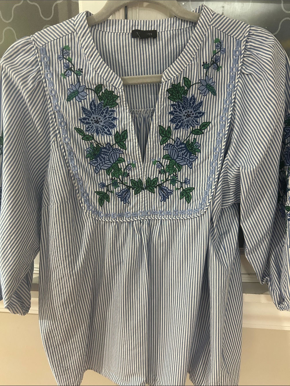 Talbots Blue and White Striped Embroidered Shirt